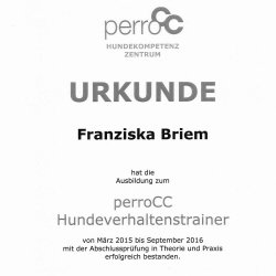 Team Franziska Briem Prufung 250x250 - Hundeschule